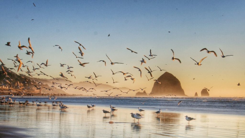 Morning sunrise at Cannon Beach in Oregon (Photo: @CroncePhoto via Twenty20.jpg)