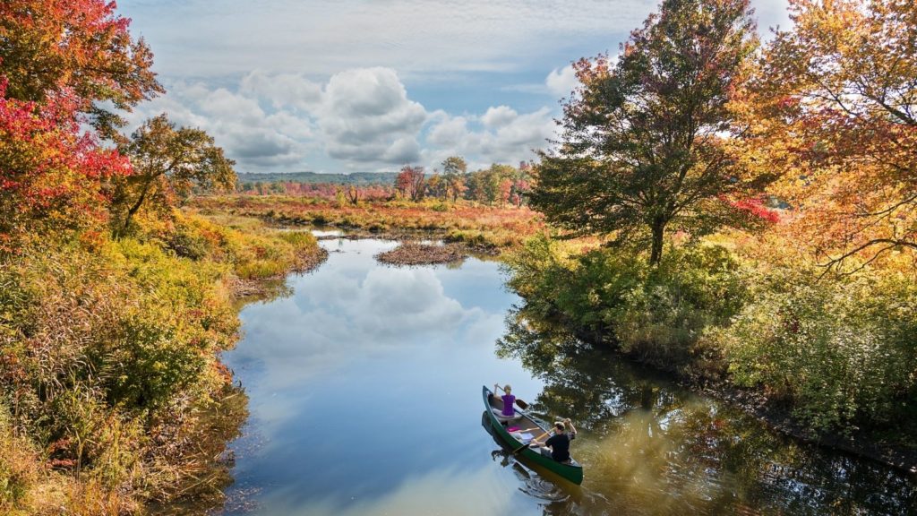 White Memorial Conservation Center in Litchfield, Connecticut (Photo: Connecticut Tourism)