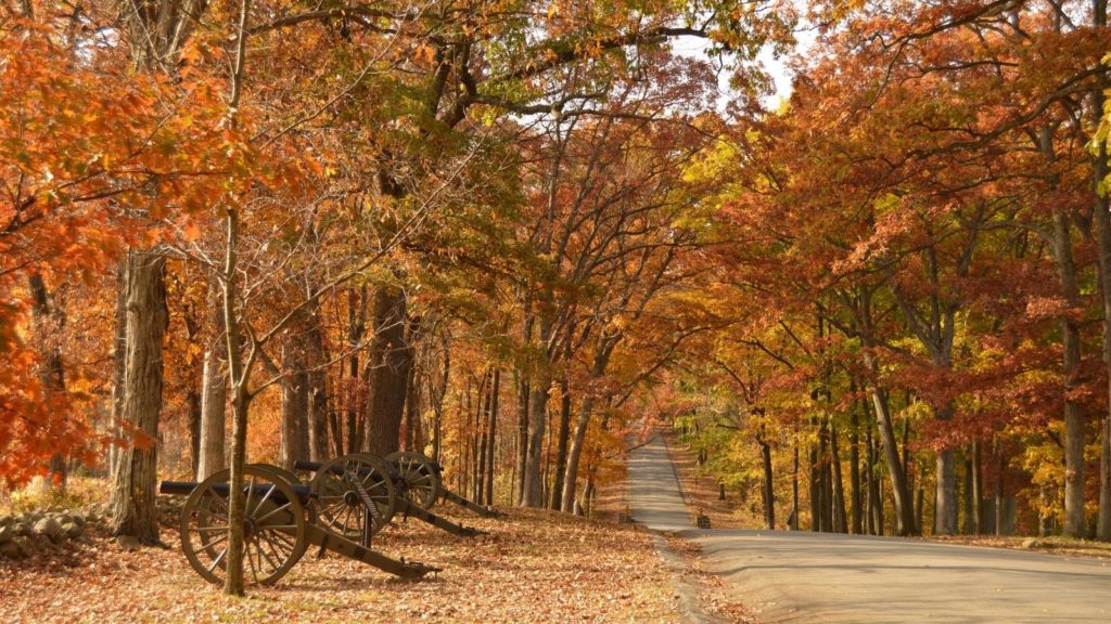 Field artillery cannons on an oak lined street in Gettysburg National Military Park, Pennsylvania (Photo: Shutterstock)