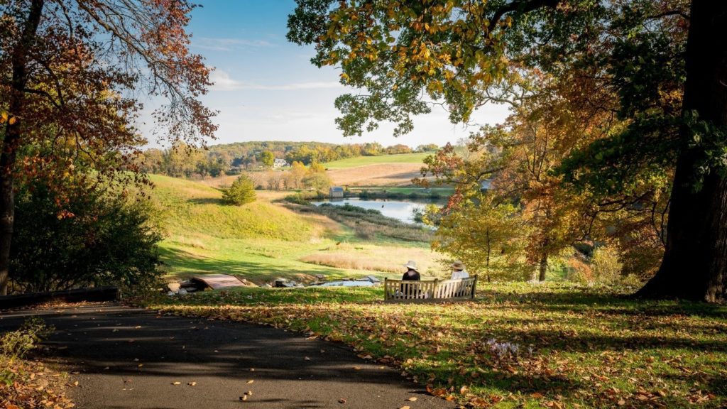 Scenic Wilmington in the Fall (Photo: Wilmington)