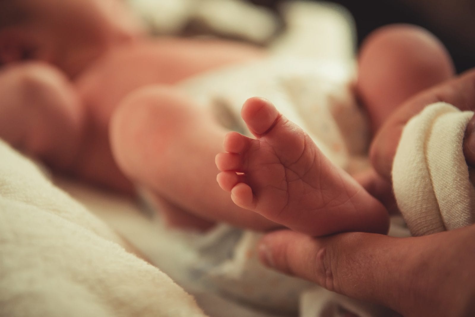 Person cradling baby's foot