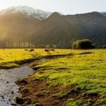 Argentina Patagonia Landscape