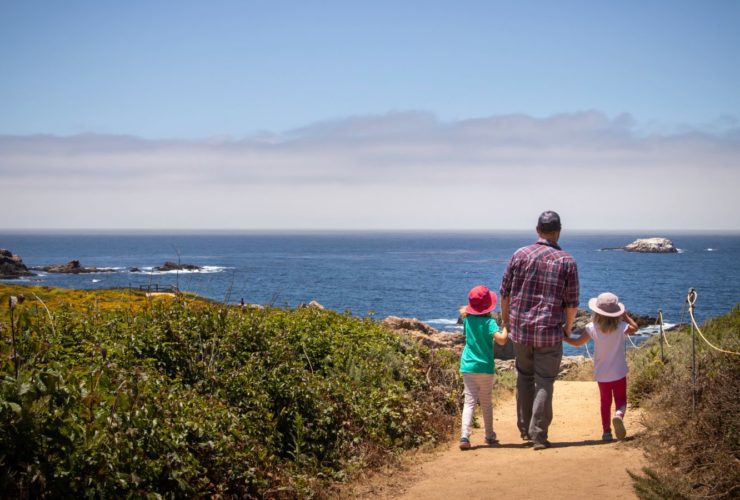 Walking among the wildflowers at Garrapata State Park in Monterey, California (Photo: Shutterstock)