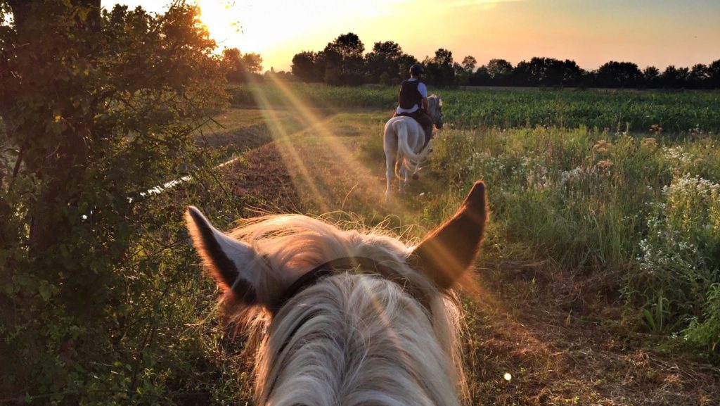 Horseback Riding