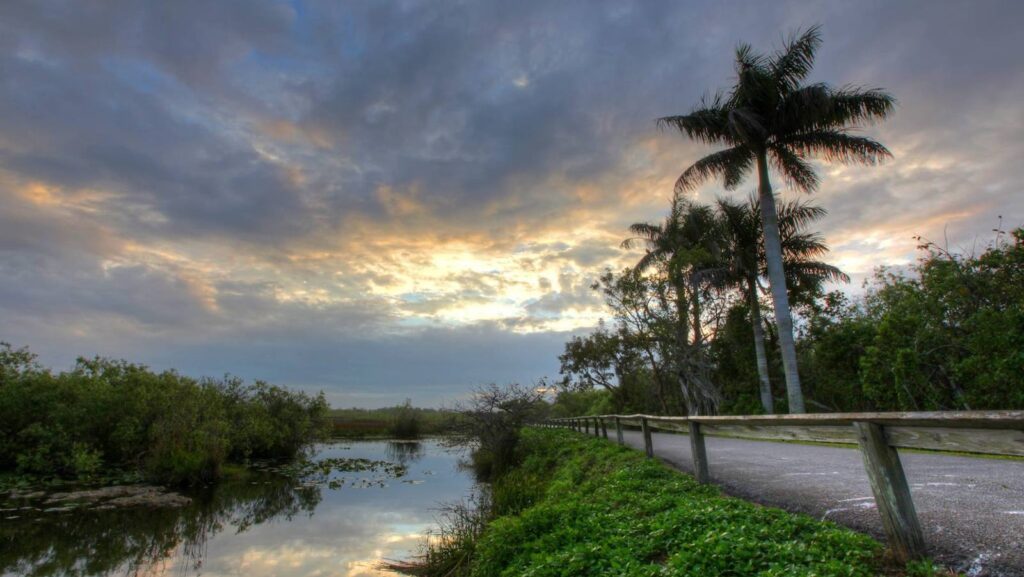 Everglades NP