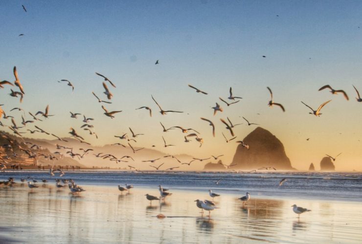 Morning sunrise at Cannon Beach in Oregon (Photo: @CroncePhoto via Twenty20.jpg)