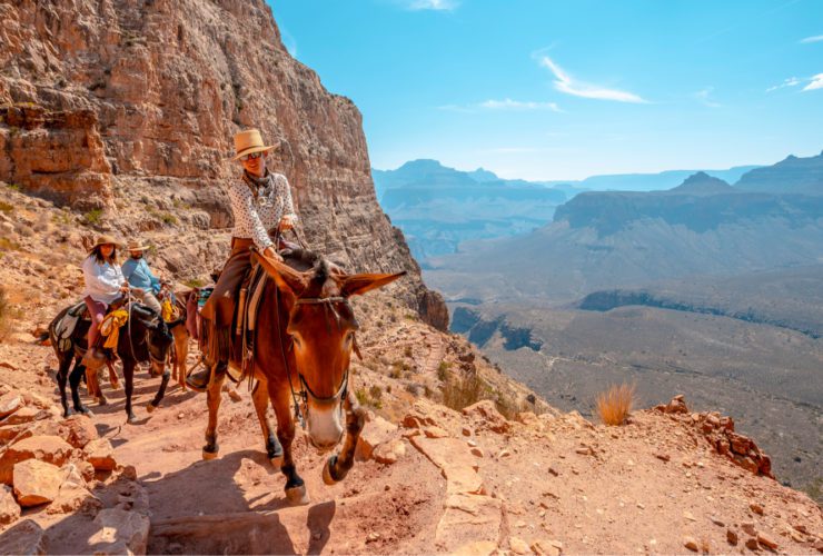 Grand Canyon mule ride from the South Rim (Photo: Shutterstock)