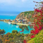 flowers, coastline, harbor, and water in Dana Point, California