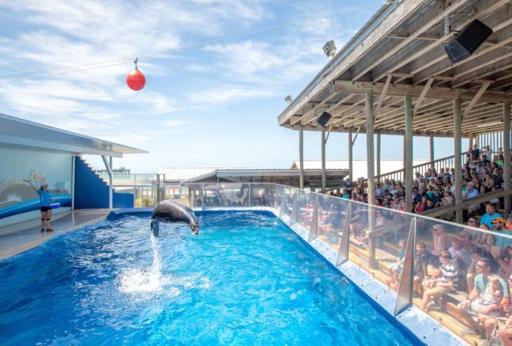 Gulfarium Marine Adventure Park in Fort Walton Beach (Photo: Gulfarium)