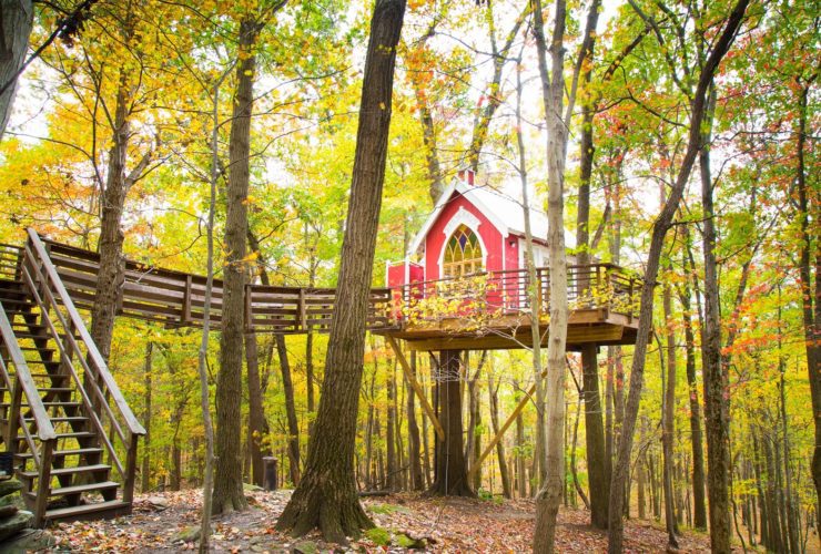 Little Red Treehouse at the treehouse hotel The Mohicans