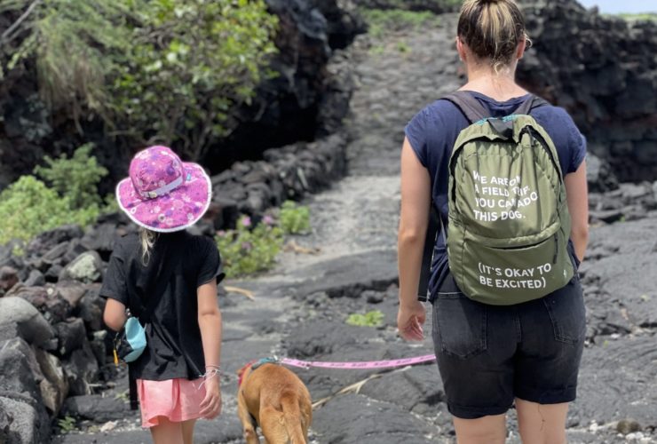 opal the dog on a field trip in hawaii walking on a trail