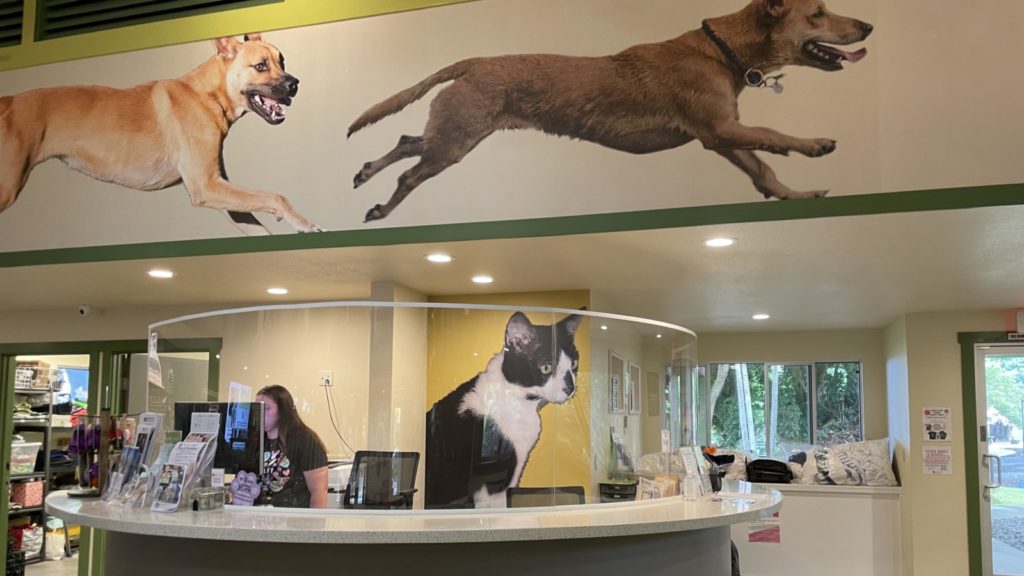 Hawaii Island Humane Society front desk in Hulualoa