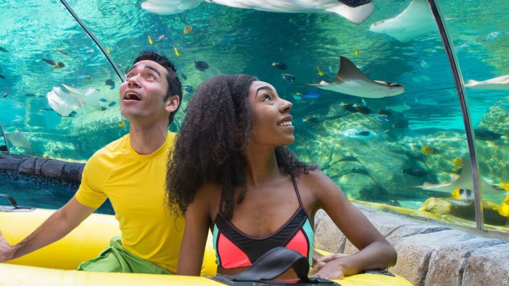 Sting Ray Falls at Aquatica