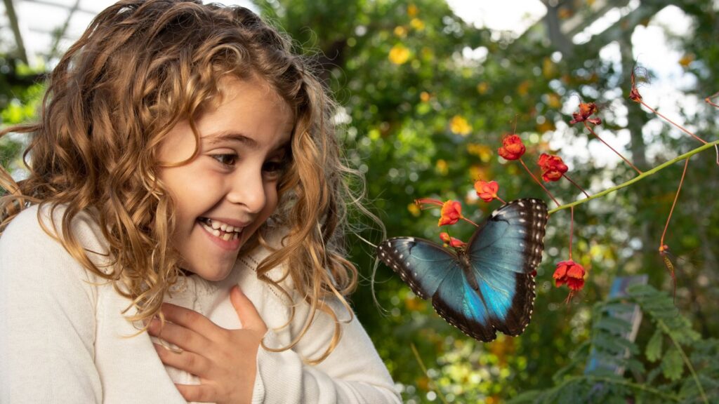 young girl looking excited while watching a butterfly at the Springs Preserve in Las Vegas