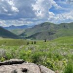 view of mountains, fields of wildflowers, and blue sky with clouds in Sun Valley Idaho