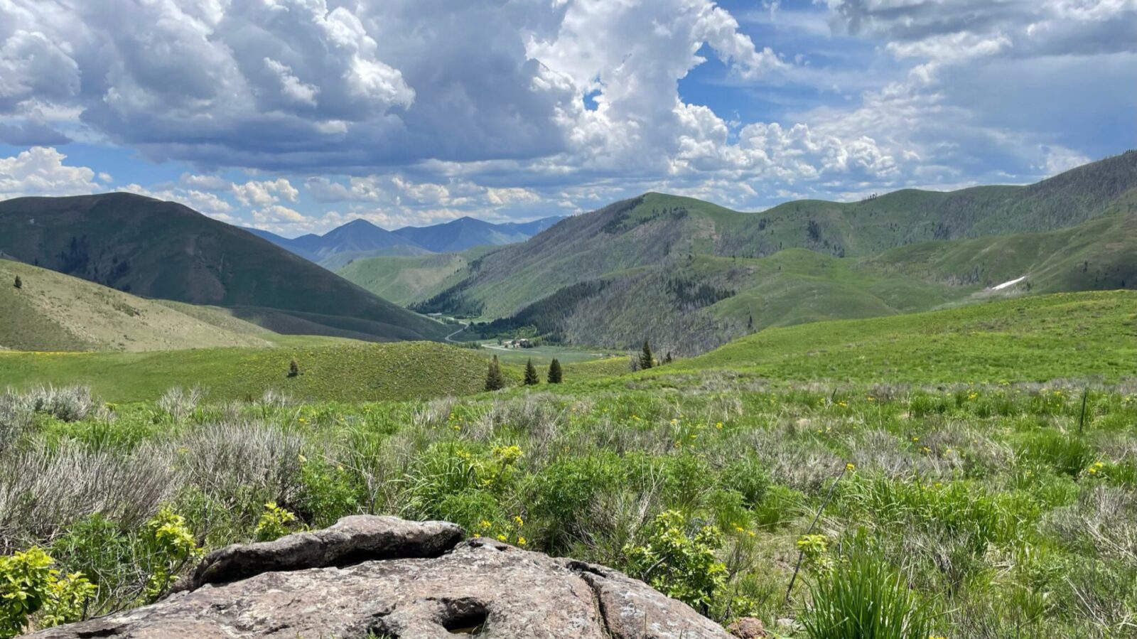 view of mountains, fields of wildflowers, and blue sky with clouds in Sun Valley Idaho