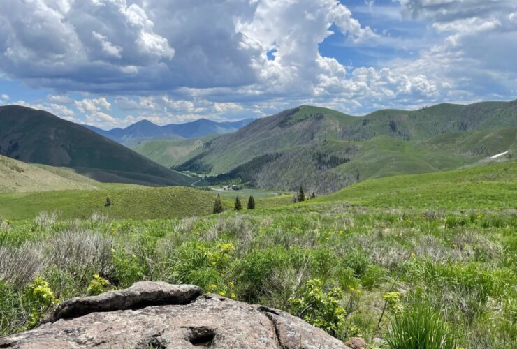 view of mountains, fields of wildflowers, and blue sky with clouds in Sun Valley Idaho