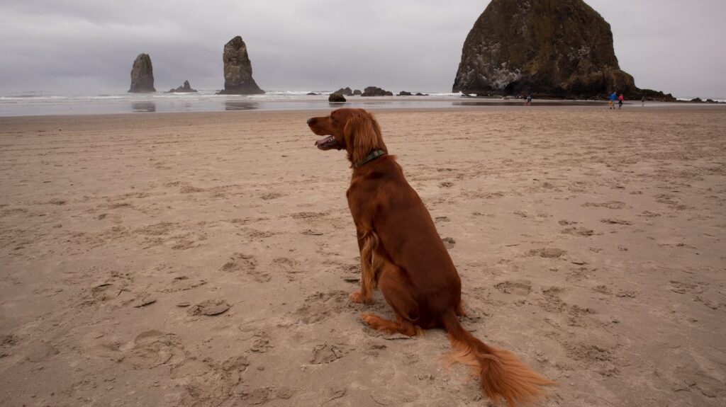 Cannon Beach, Oregon