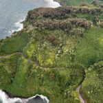 aerial view of the Hana Highway on Maui