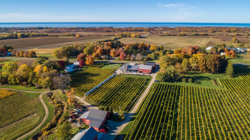 Lake Erie Wine Country Harvest Celebration