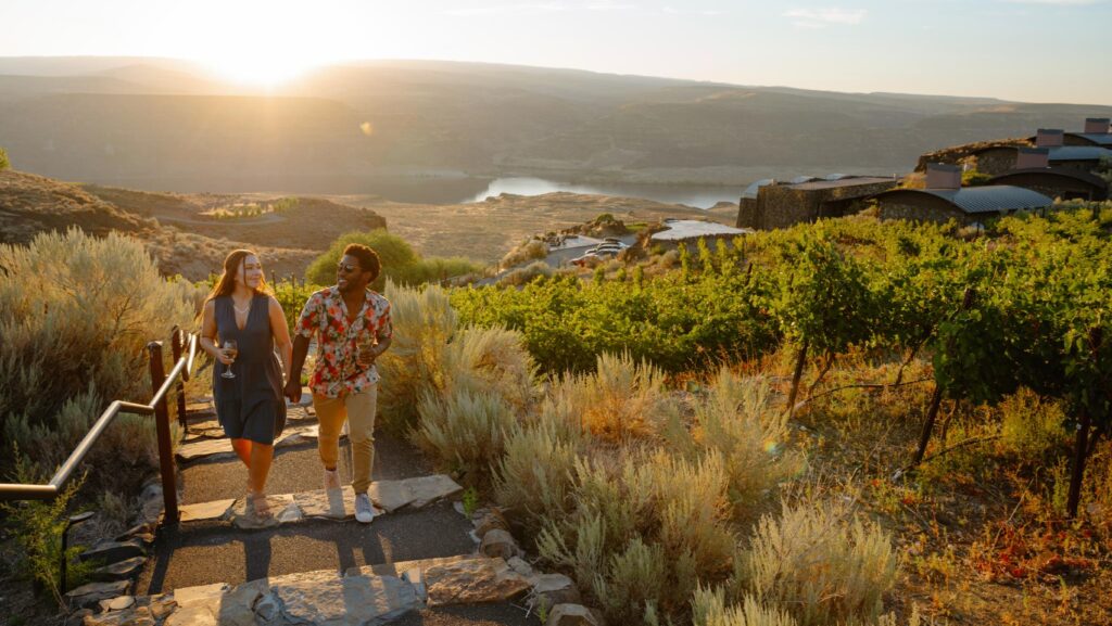 two people walking through a vineyard in Washington state