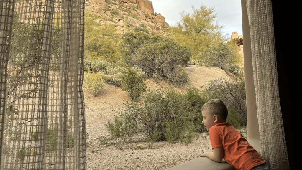 Although our 500-square foot premier casita had a TV on the covered patio, even my 4-year-old preferred to watch birds and bunnies over screen time (Photo: Carley Thornell)